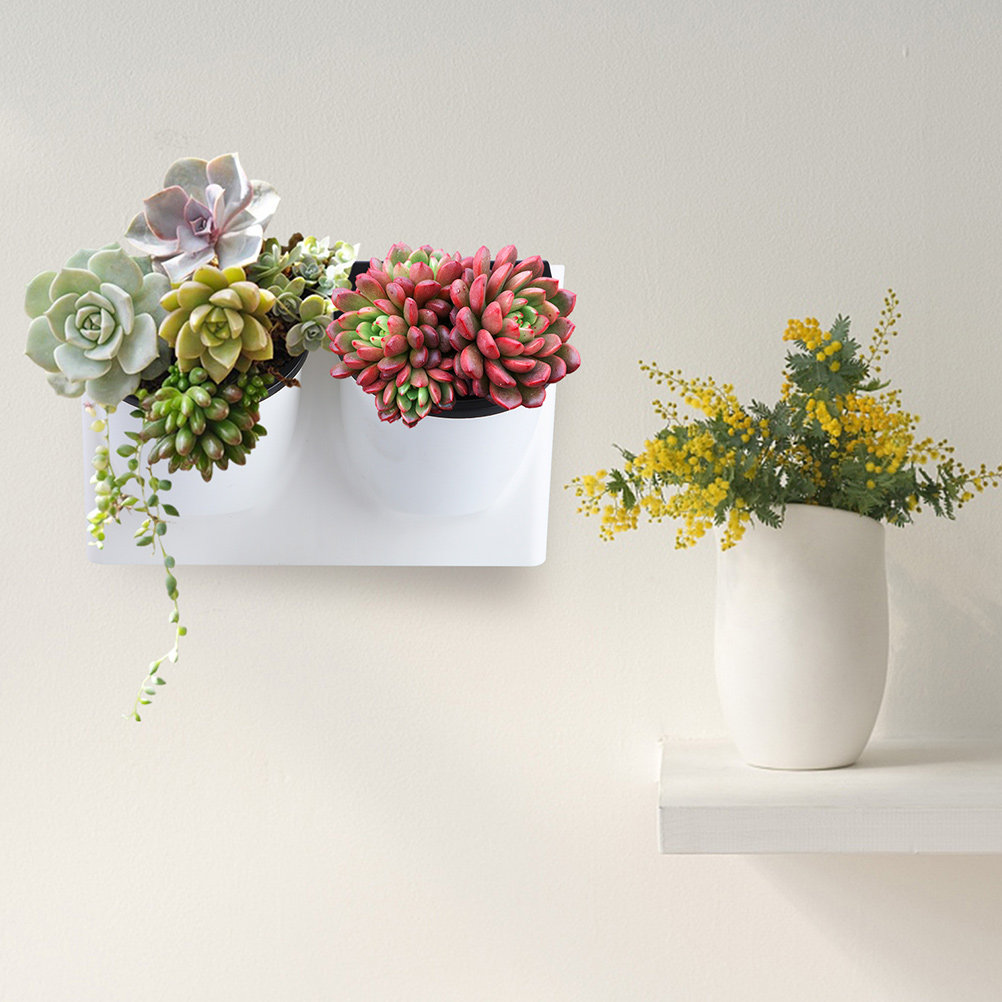 Self-Watering Planter - Samonawadniająca się doniczka na kwiaty, plastikowa