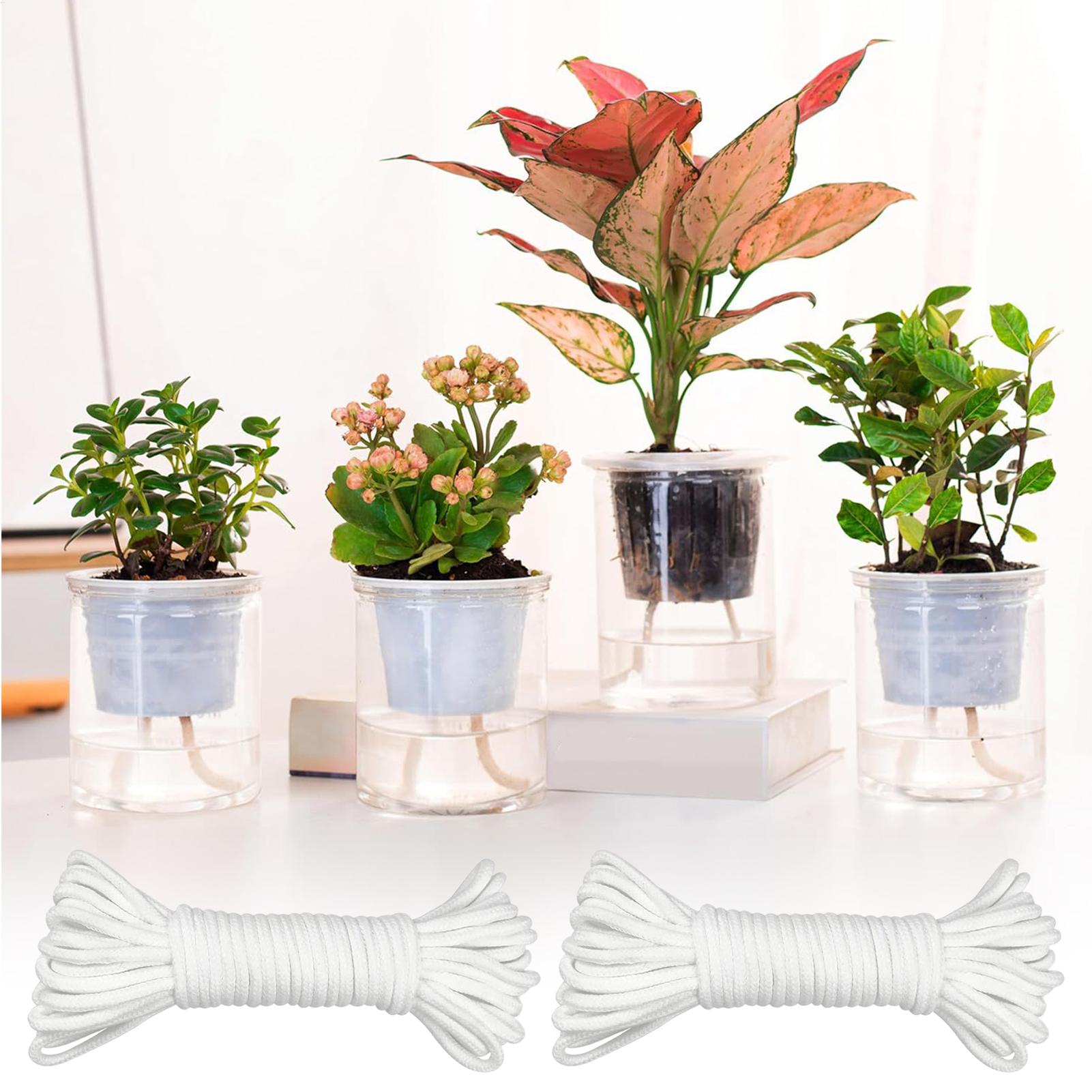 Wkłady do roślin do samodzieln – Automatic Plant Waterer recenzja i cena