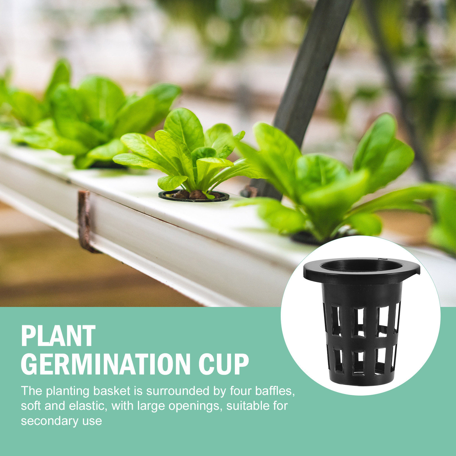 50 sztuk plastikowych koszyków – Gardening Tools Vegetables recenzja i cena