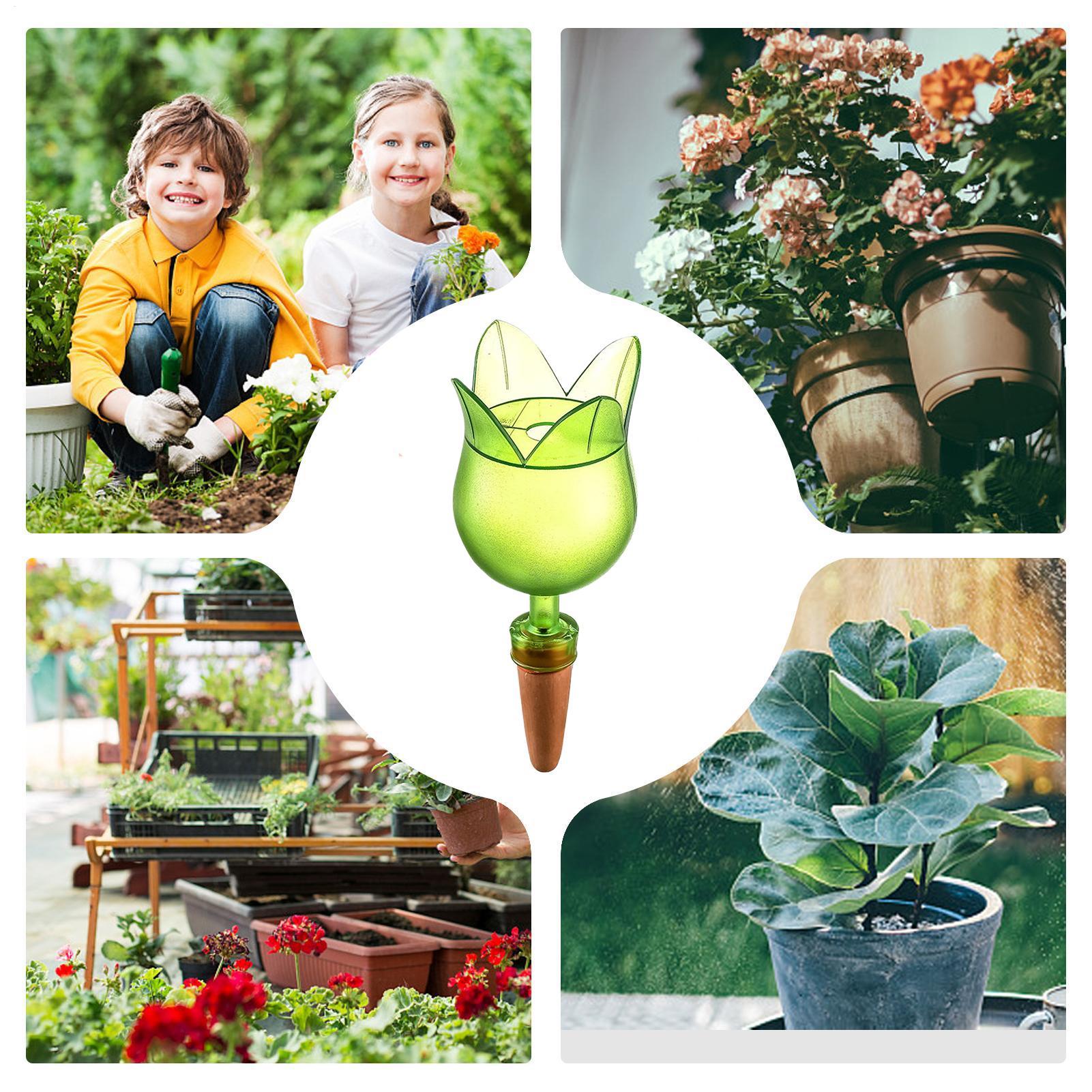 Systemy samonawadniających się – Self-Watering Planter recenzja i cena