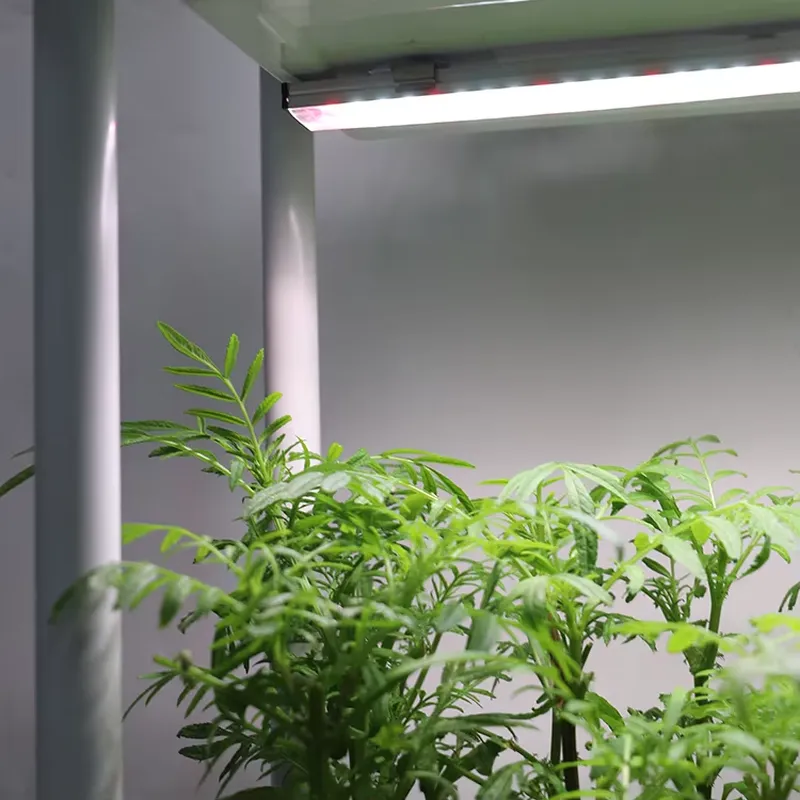 Przenośny, pionowy, 3-poziomow – Self-Watering Planter recenzja i cena