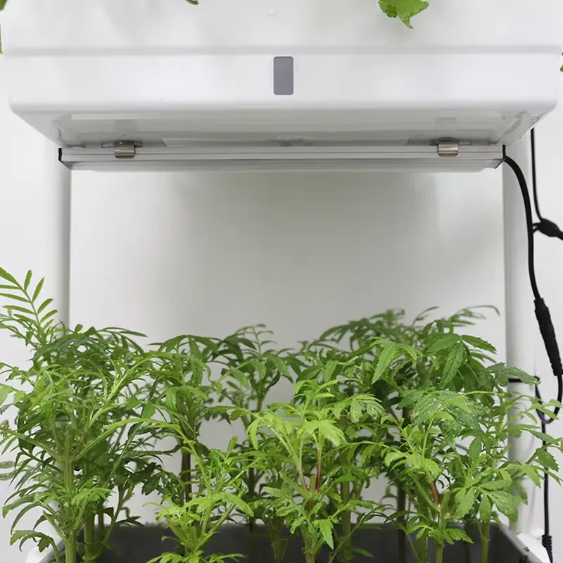Przenośny, pionowy, 3-poziomow – Self-Watering Planter recenzja i cena
