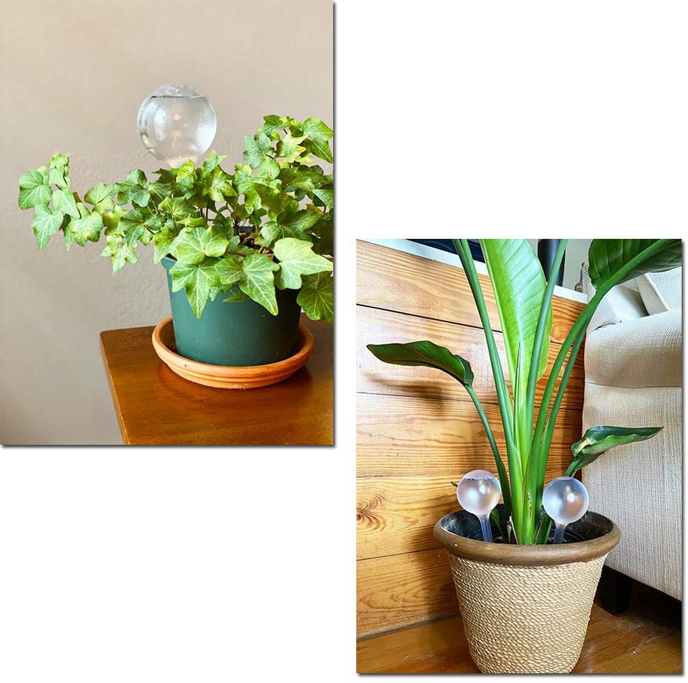 Automatyczny podajnik wody do  – Automatic Plant Waterer recenzja i cena