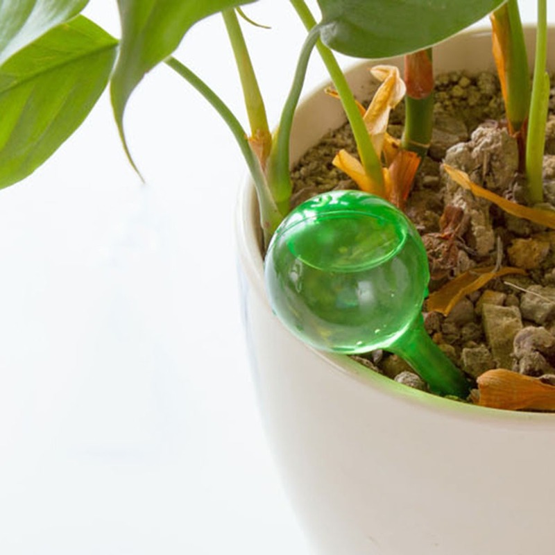 Automatyczny podajnik wody do  – Automatic Plant Waterer recenzja i cena