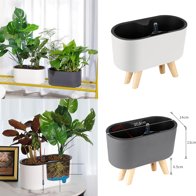 Roślina doniczkowa ze wskaźnik – Automatic Plant Waterer recenzja i cena