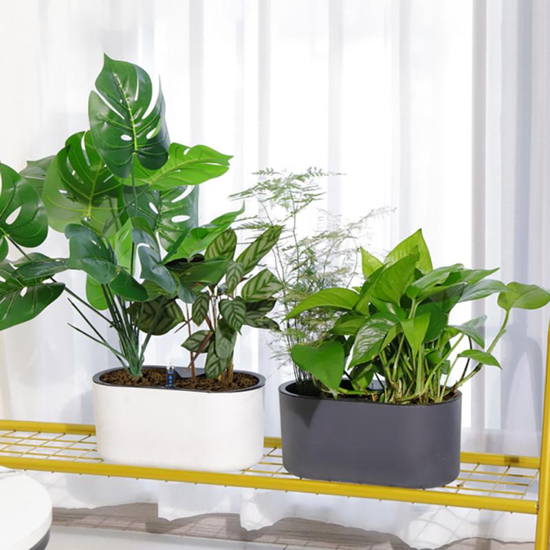 Roślina doniczkowa ze wskaźnik – Automatic Plant Waterer recenzja i cena