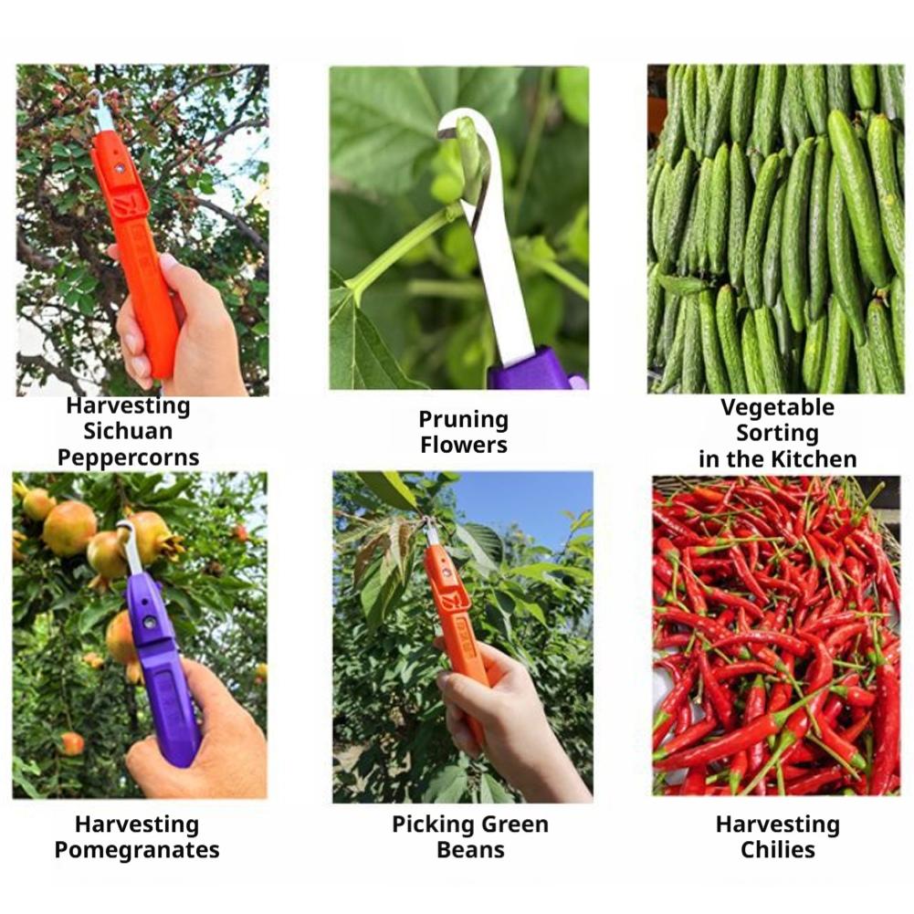 Przenośne narzędzie do szybkie – Gardening Tools Vegetables recenzja i cena