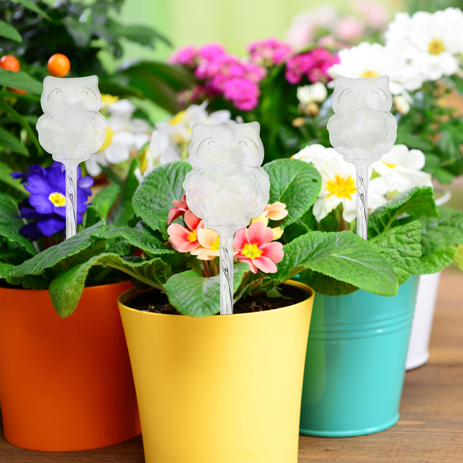 4 sztuki – automatyczny system – Automatic Plant Waterer recenzja i cena