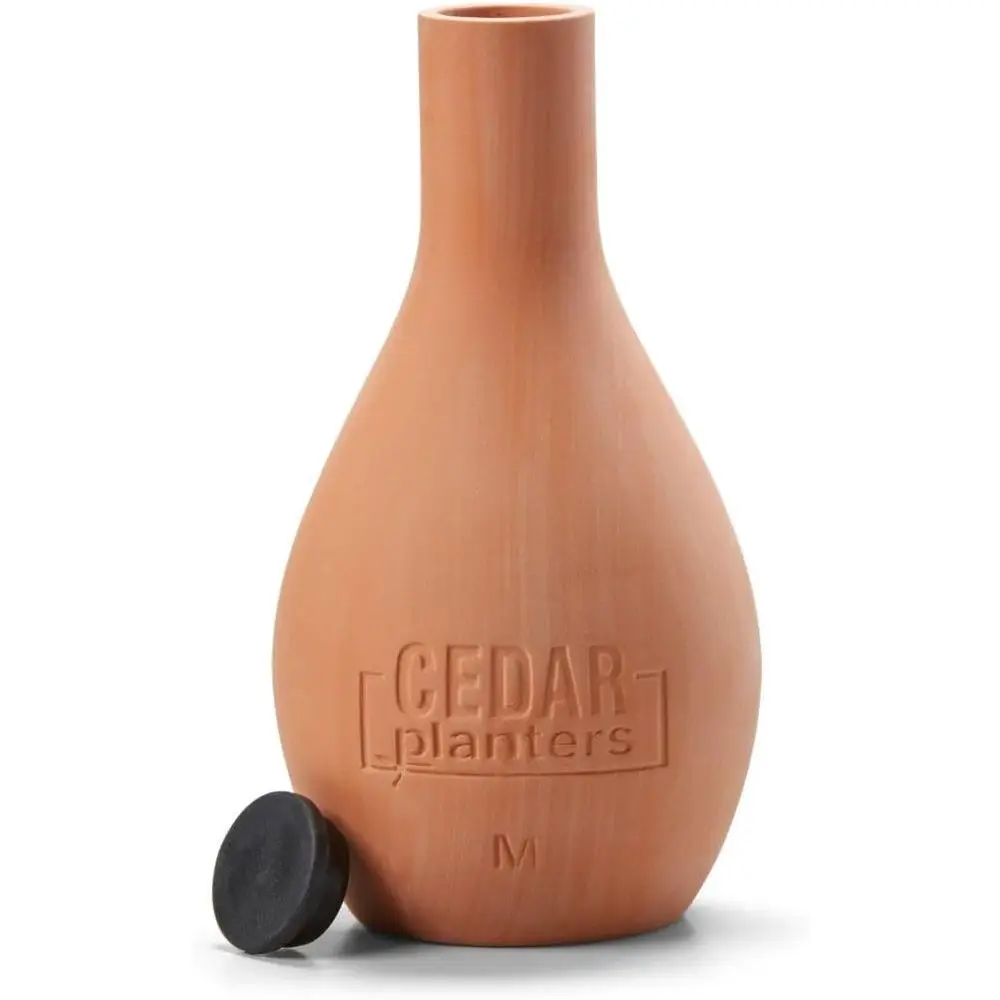 Samonawadniająca się ceramiczn – Self-Watering Planter recenzja i cena