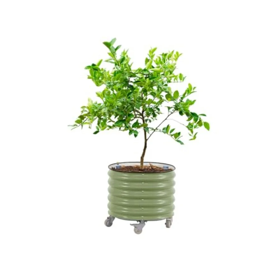 Kwadratowe doniczki do uprawy  – Self-Watering Planter recenzja i cena