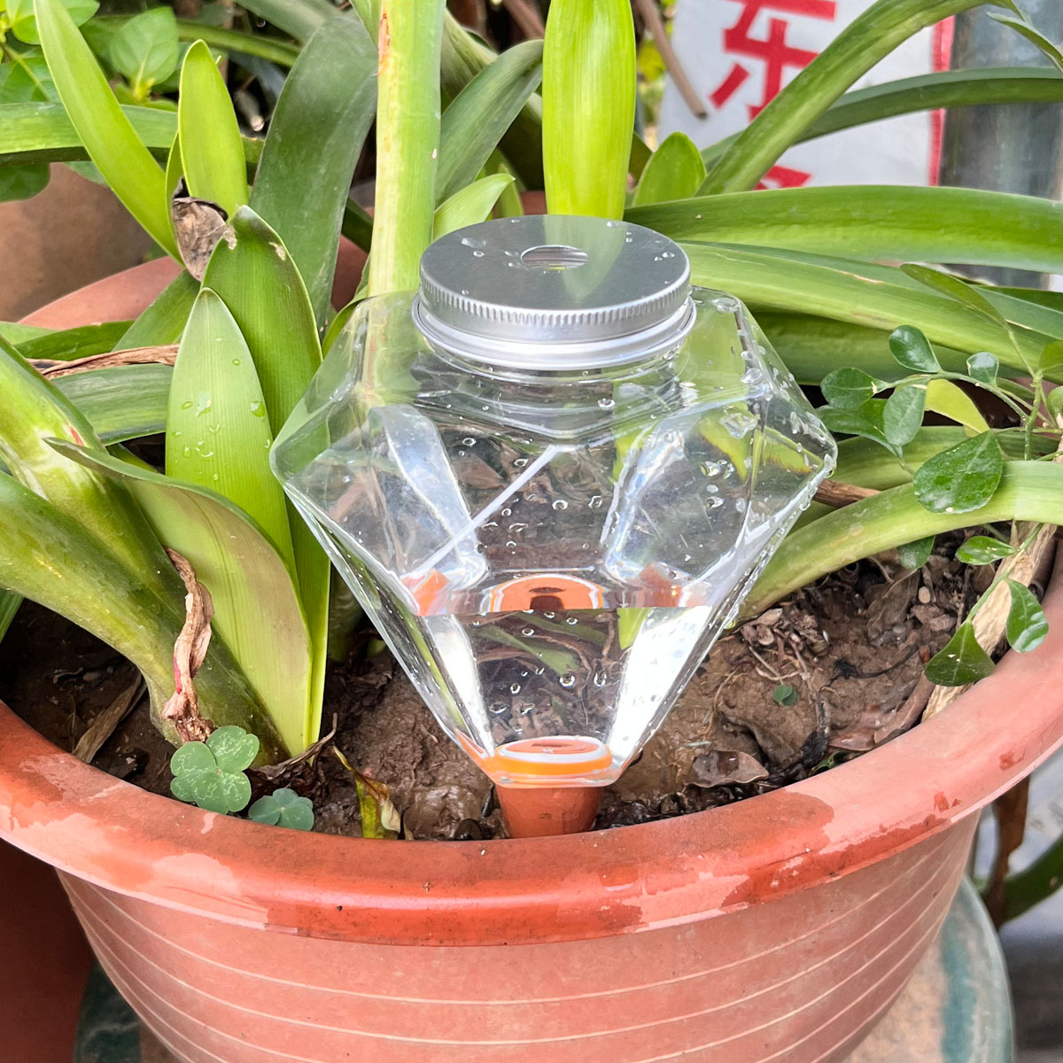 1 szt. Urocza plastikowa maszy – Automatic Plant Waterer recenzja i cena