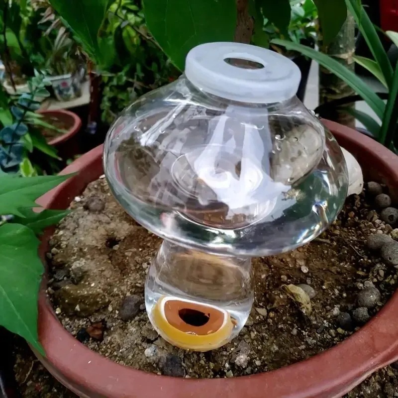 Automatyczny podlewacz do rośl – Automatic Plant Waterer recenzja i cena