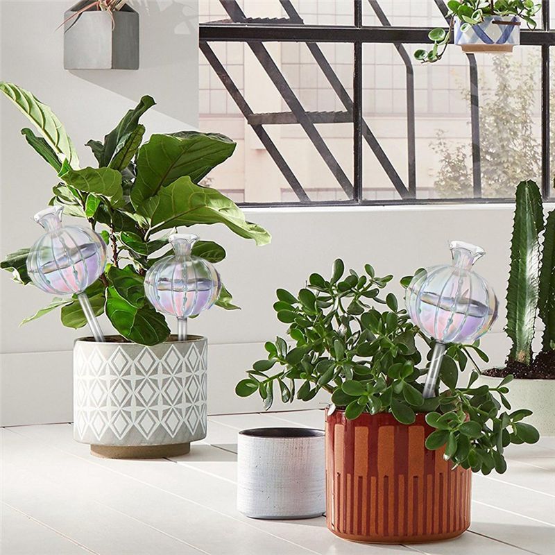AA94 – szklane kapsułki do pod – Self-Watering Planter recenzja i cena